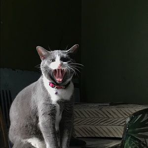 Meet your Posher, Cristina